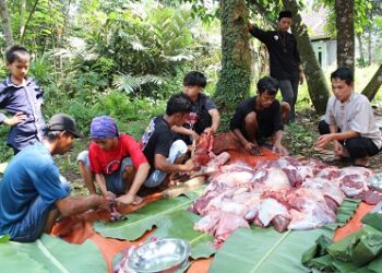 Qurban Hingga Pelosok FOI : Kampung Kadulisung Pandeglang Pertama Kali Rayakan Idul Qurban