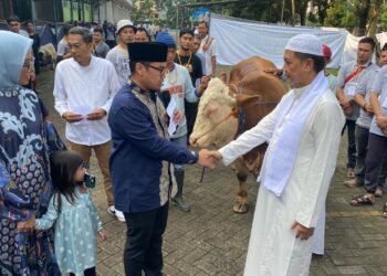 Sekolah Al-Azhar BSD Rayakan Idul Adha 1445 H dengan Menyumbangkan 143 Kambing dan 14 Sapi Kurban
