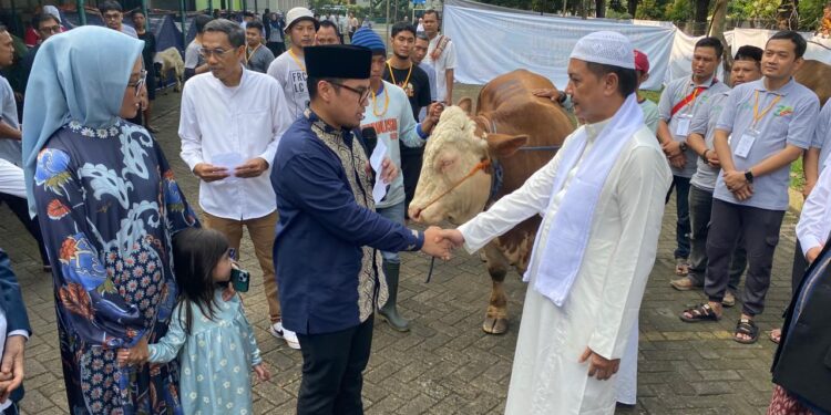 Sekolah Al-Azhar BSD Rayakan Idul Adha 1445 H dengan Menyumbangkan 143 Kambing dan 14 Sapi Kurban