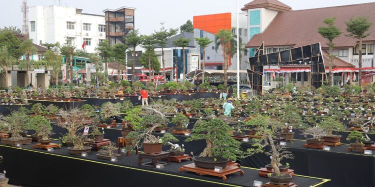 Pameran Bonsai Merdeka di Tangsel, Benyamin; Ajang Apresiasi Seni dan Lingkungan Hidup