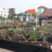 Pameran Bonsai Merdeka di Tangsel, Benyamin; Ajang Apresiasi Seni dan Lingkungan Hidup