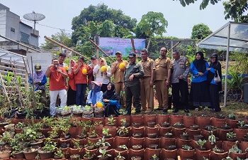 Indah Kiat Bersama DKP3 Tangsel Panen Golden Melon Karya KWT Nerada