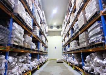 Daging Domba Impor Rugikan Peternak, Kementan Sidak 13 Gudang Importir Daging
