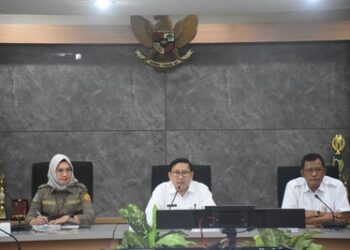 Ini Langkah Jitu Kementan Lindungi Peternak dari Maraknya Daging Domba Impor