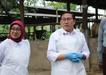Kementan Kembali Himbau Daerah Tingkatkan Kewaspadaan Penularan Penyakit Hewan Akibat Cuaca Ekstrem