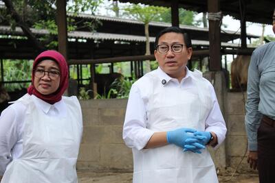 Kementan Kembali Himbau Daerah Tingkatkan Kewaspadaan Penularan Penyakit Hewan Akibat Cuaca Ekstrem
