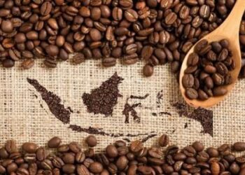 Kopi Nusantara Kian Mendunia, Pakar Ungkap Potensi Besar Indonesia