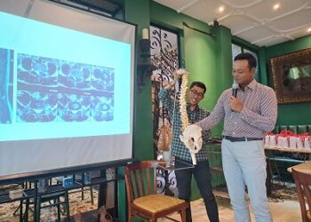Mengatasi Nyeri Punggung Bawah dengan Lumbar Disc Replacement (LDR)