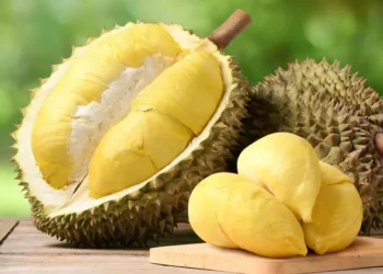 Manfaat Buah Durian: Raja Buah yang Kaya Nutrisi
