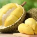 Manfaat Buah Durian: Raja Buah yang Kaya Nutrisi