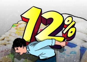 Domino Effect Imbas PPN 12 Persen, Siapa Dirugikan?