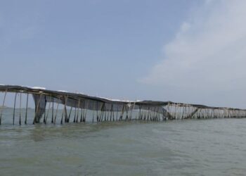 Misteri Pagar Laut, Siapa dan Bagaimana?