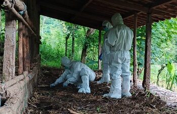 Kementan Cepat Respon Satu Kasus Gejala Antraks di Gunung Kidul