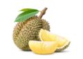 Trembesi Hotel BSD Menyajikan Buah Durian dalam Menu Iftar Tahun Ini