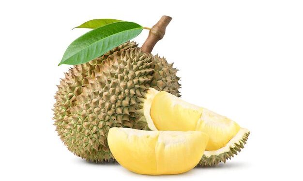 Trembesi Hotel BSD Menyajikan Buah Durian dalam Menu Iftar Tahun Ini