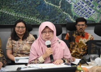 Kinerja APBN Januari 2025 Tertekan, Anis: Perlu Ditingkatkan