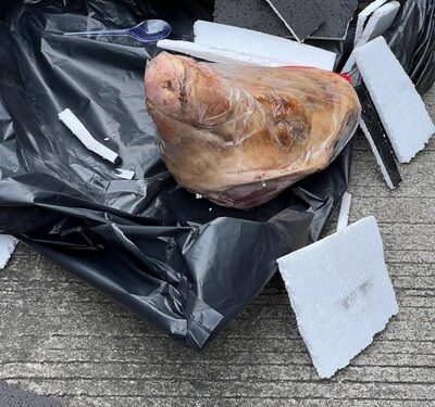 LBH Keadilan Mengutuk Keras Teror Kepala Babi terhadap Kantor Tempo, Minta Aparat Usut Tuntas