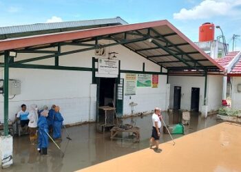 Kementan Gerak Cepat Tangani Ternak Terdampak Banjir di Bekasi