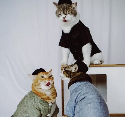 Sukses Berkarya Sebelum 30: Kisah Sukses Pemuda Asal Garut Bangun UMKM Khusus Produk Pakaian Kucing Bersama Shopee