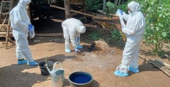 Kementan dan Dinas Respon Cepat Tangani Antraks di Gunung Kidul, Vaksinasi Disiapkan Jelang Idul Adha