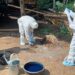 Kementan dan Dinas Respon Cepat Tangani Antraks di Gunung Kidul, Vaksinasi Disiapkan Jelang Idul Adha