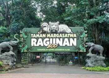 Kebun Binatang Ragunan, Destinasi Wisata Keluarga Favorit di Jakarta