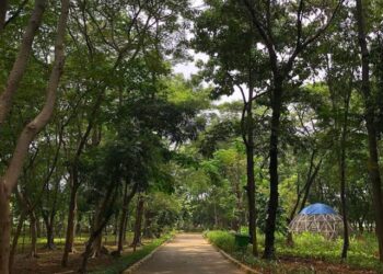 Jakarta Hadirkan Destinasi Wisata Baru yang Menarik Minat Wisatawan