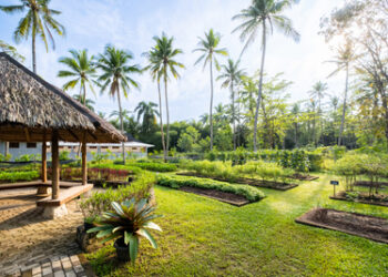 Menemukan Keseimbangan: Liburan Keluarga & Gathering Kantor di Mutiara Carita Cottages
