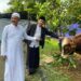Kurban Sambil Belajar, Al-Azhar BSD Libatkan Siswa dari TK hingga SMA Potong 15 Sapi