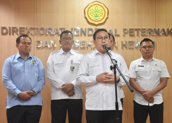 Lindungi Peternak Rakyat, Kementan Gandeng Satgas Pangan POLRI Stabilkan Harga Ayam Hidup