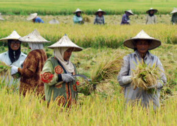 Swasembada Pangan dan Energi, Kunci Kemandirian Ekonomi Nasional
