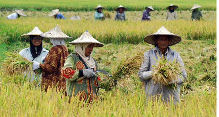 Swasembada Pangan dan Energi, Kunci Kemandirian Ekonomi Nasional