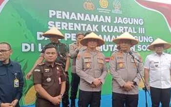 Polri Perkuat Ketahanan Pangan Nasional Melalui Penanaman Jagung Serentak di Polda Metro Jaya