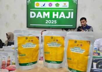 Kementan Pantau Proses Penanganan dan Pengolahan Daging Dam, Pastikan Daging Aman dan Halal