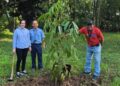 APP Group Tegaskan Komitmen Lingkungan Lewat FGD Sustainability Warriors dan Penanaman Pohon Langka