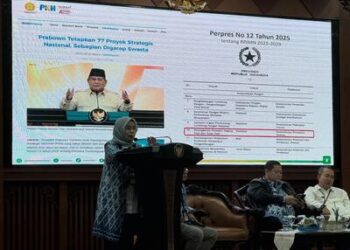 Integrasi Sapi di Kebun Sawit, Produksi Daging Naik, Biaya Pupuk Turun 30%!