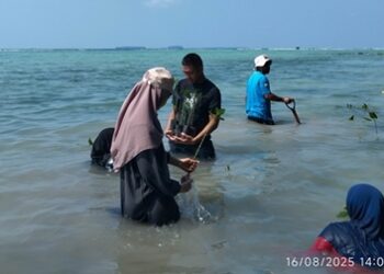 Aksi Hijau HUT RI ke-80: ALW & LEVA Tanam Mangrove dan Transplantasi Karang di Pulau Tidung