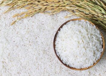 Publik Rasakan Dampak SPHP, Harga Beras Mulai Turun