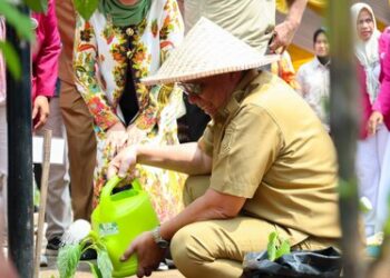 Pemkot Tangsel Tanam 2 Ribu Bibit Cabai dan Terong, Tersebar di 7 Kecamatan