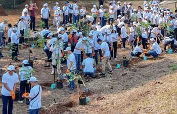 25.000 Pohon untuk Masa Depan, Manajemen dan Karyawan Kawan Lama Group Satukan Langkah untuk Bumi yang Lebih Hijau