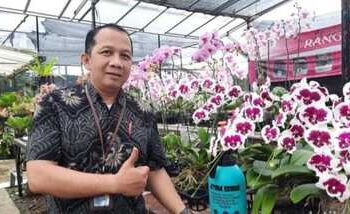 BRI KC Pasar Minggu Salurkan KUR Mikro, Usaha Anggrek Berkembang Pesat