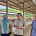 Harga Daging Sapi Aman Jelang Nataru, Kementan Tegaskan Jaga Harga dan Pasokan Pangan