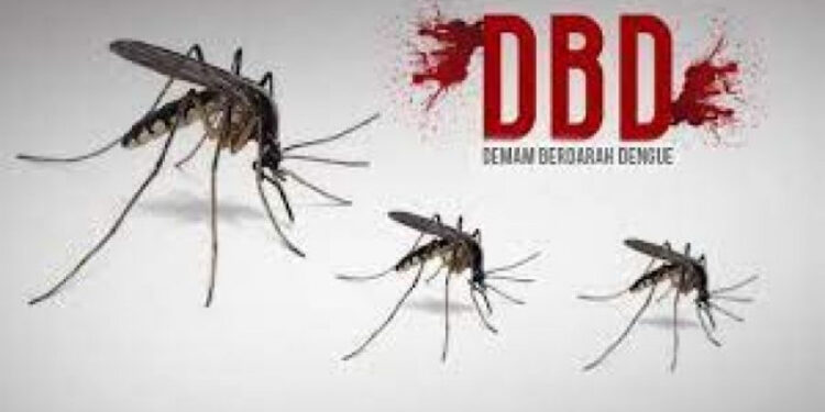 Dokter Ingatkan Masyarakat Waspada Penyakit Musim Hujan