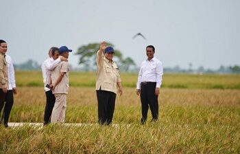 Presiden Prabowo Umumkan Swasembada Pangan, Indonesia Ulang Sejarah Kejayaan