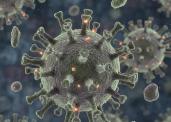 Ancaman Virus Nipah Tekankan Pentingnya Kesiapsiagaan, Penguatan Regulasi, dan Surveilans Berbasis Masyarakat