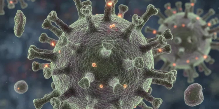 Ancaman Virus Nipah Tekankan Pentingnya Kesiapsiagaan, Penguatan Regulasi, dan Surveilans Berbasis Masyarakat