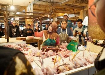 Pantauan Pasar Cileungsi Bogor, Daging Sesuai HAP, Cabai Rawit Mulai Turun