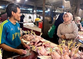 Kementan Sidak Pasar di Depok, Harga Ayam dan Daging Selama Puasa Tetap Normal