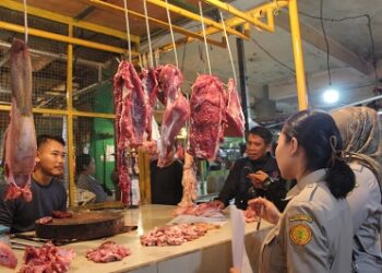Kementan: Harga Masih Terkendali, Pasokan Daging dan Telur di Bogor Cukup