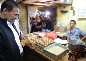 Kementan Perkuat Koordinasi, Harga Telur Terkendali dan Konsumen Terlindungi Jelang Idulfitri